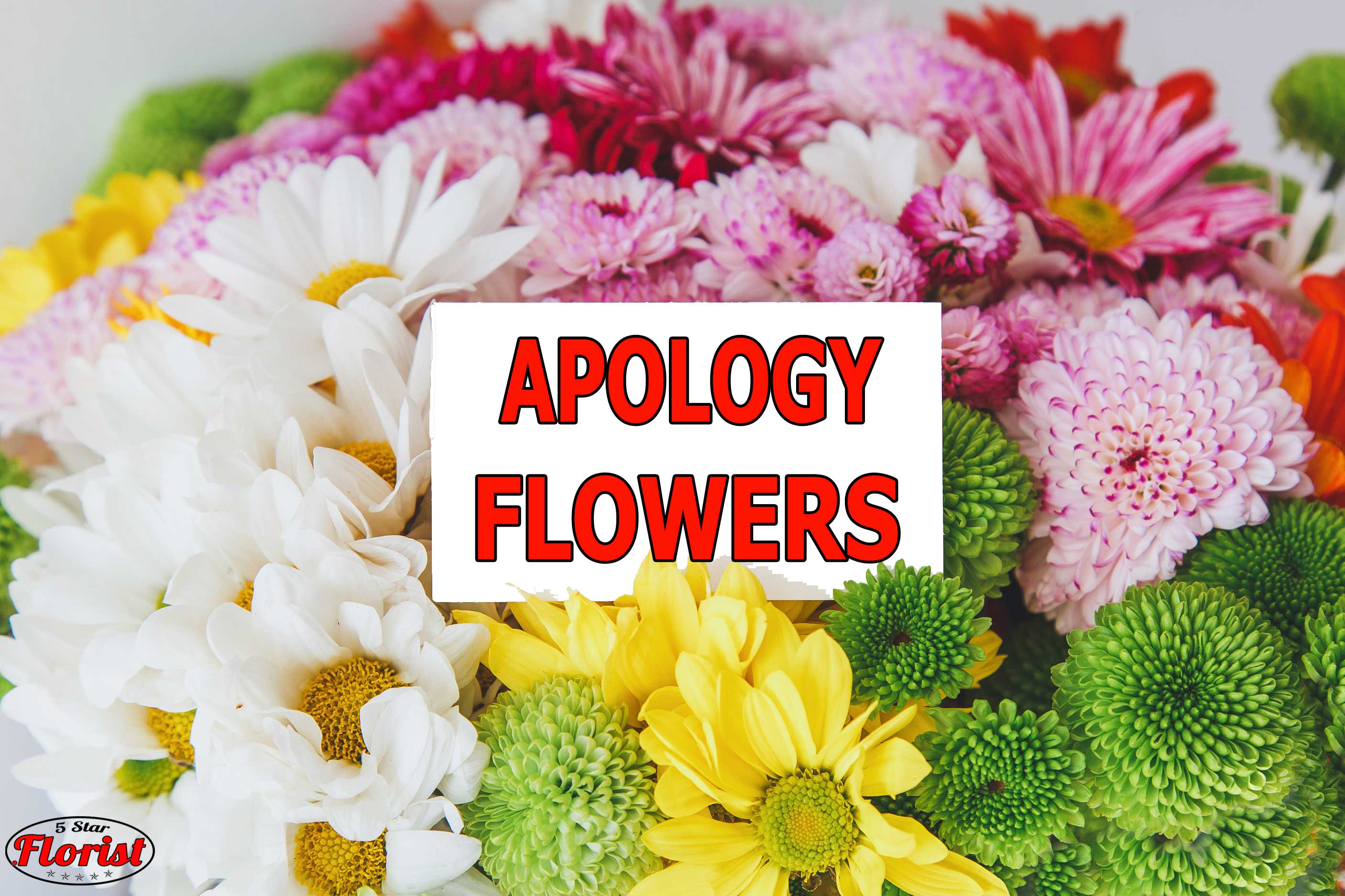 apology flowers Carmichael