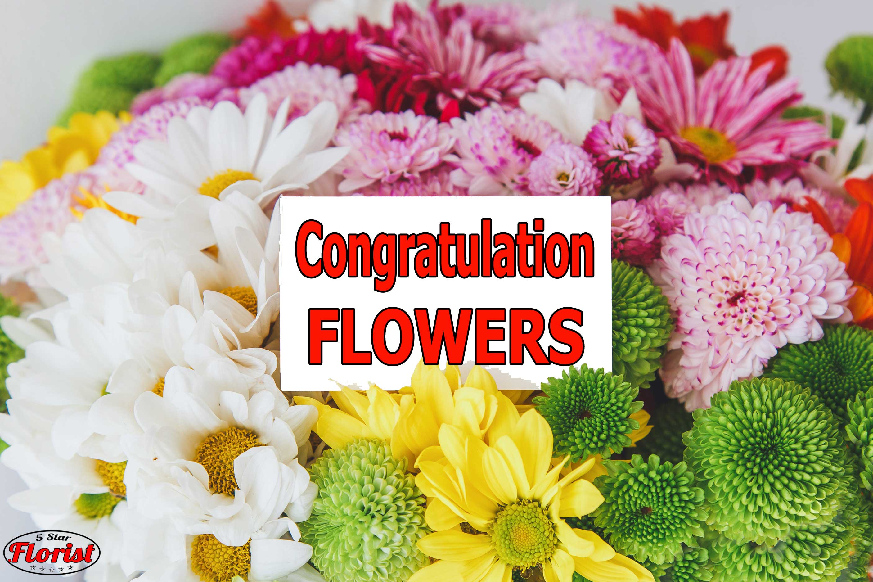 congratulations flowers Carmichael