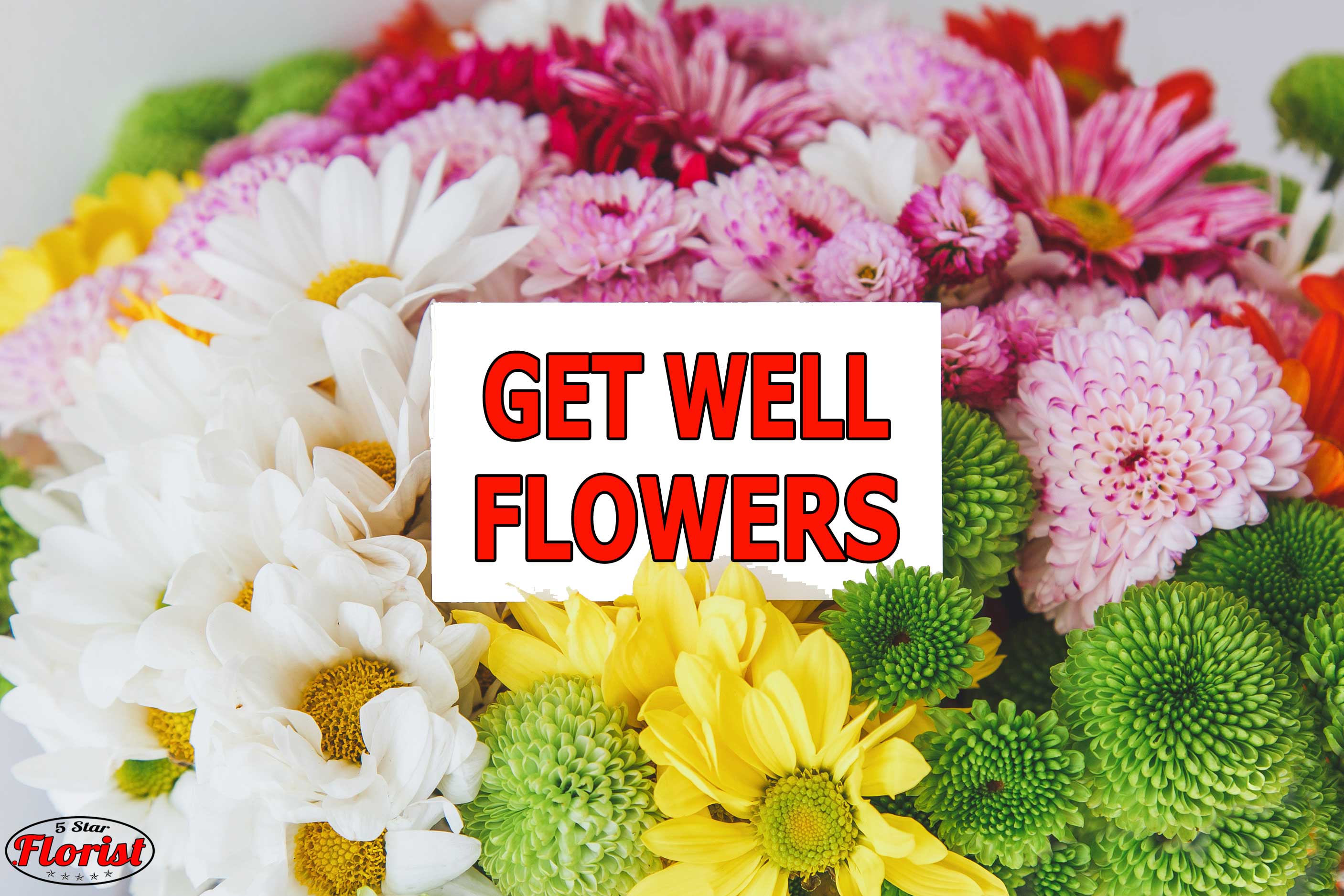 get-well-flowers Carmichael