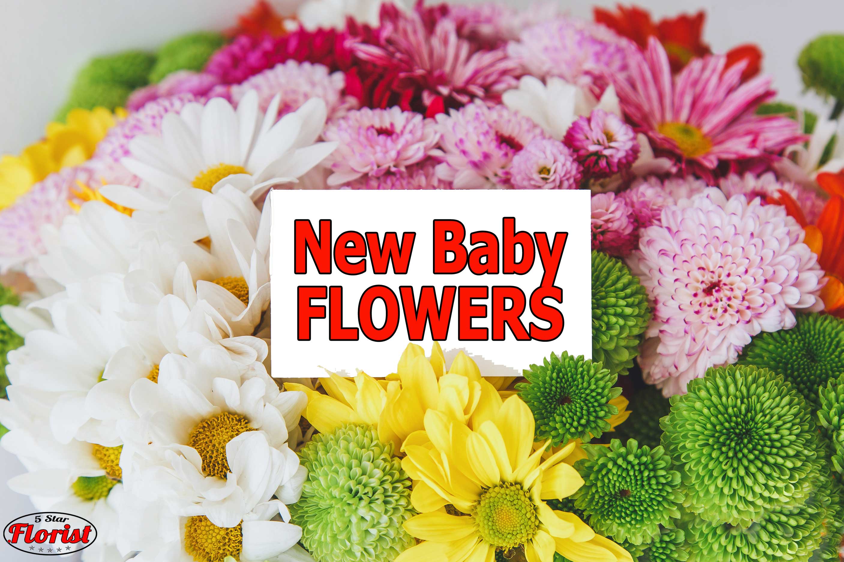 new baby flowers Carmichael