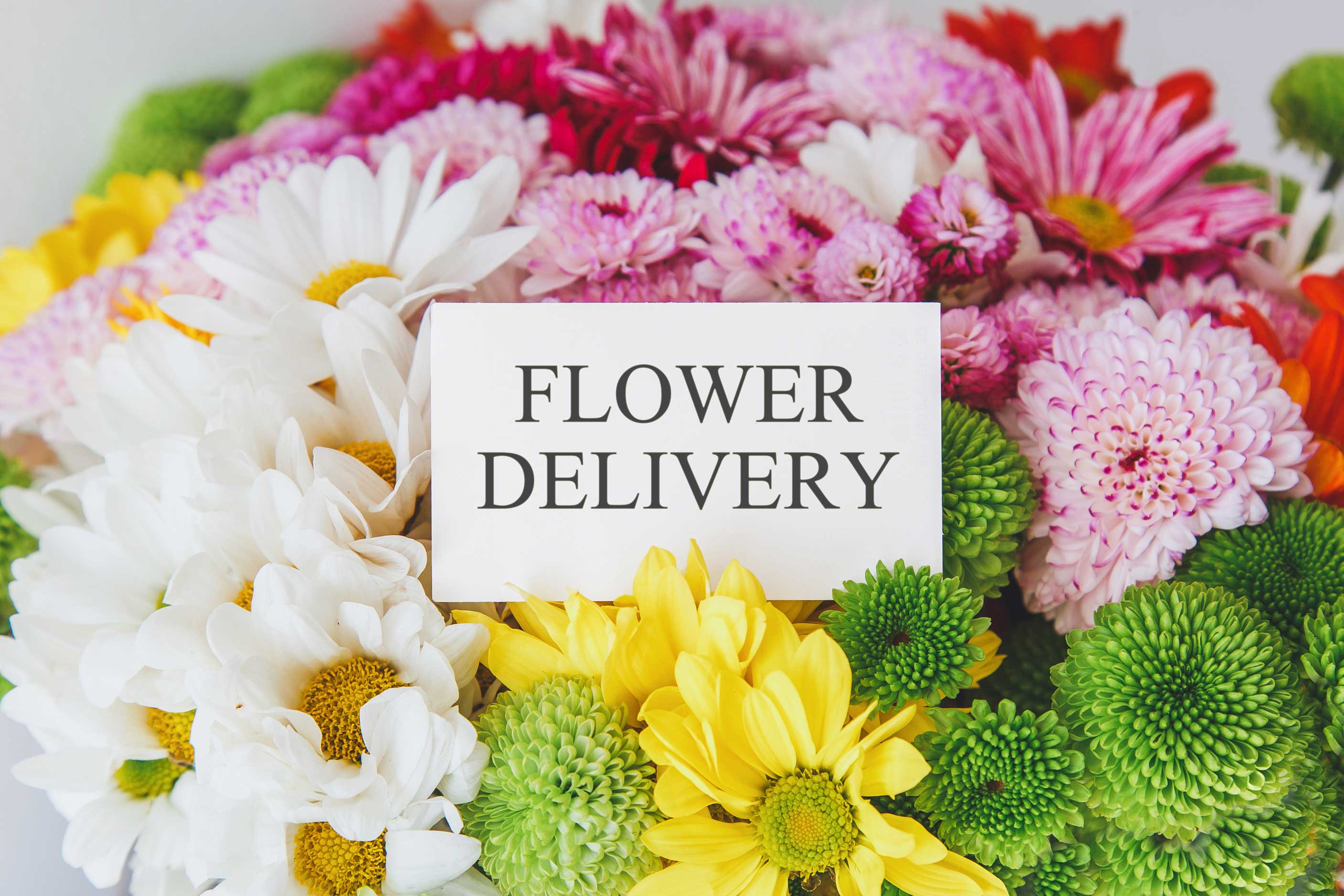 same-day-flower-delivery- Carmichael