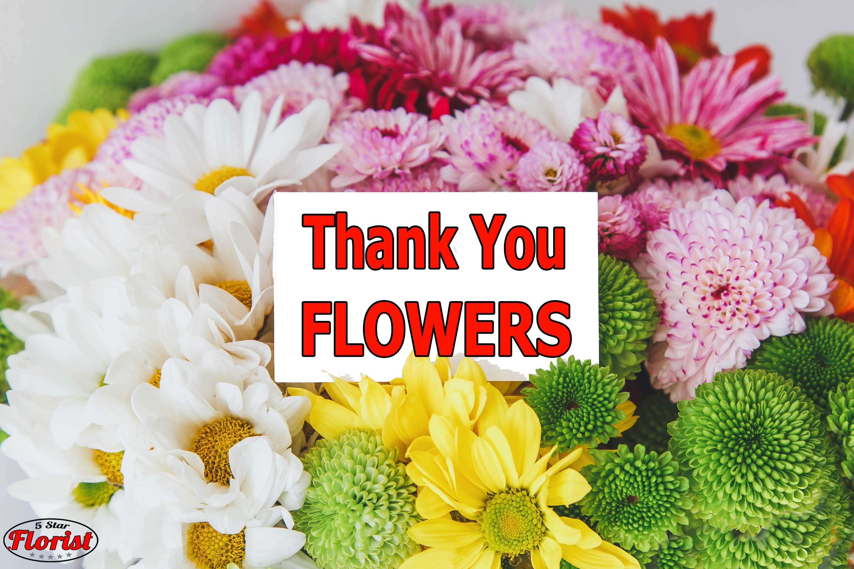 thank-you-flowers Carmichael